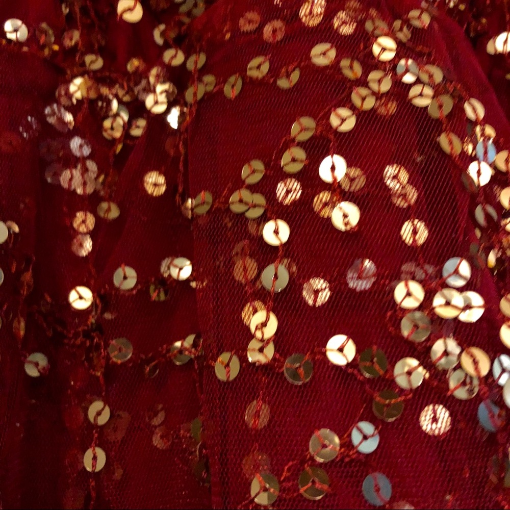 Chic Burgundy High Low Dress with Gold Accents - Picture 6 of 9